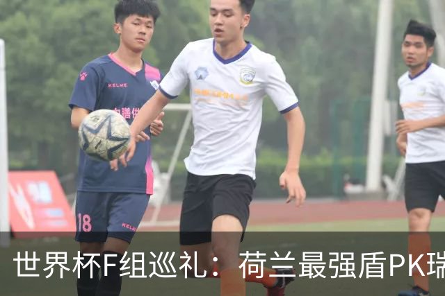 世界杯F组巡礼：荷兰最强盾PK瑞典犀利刀 日本短板明显